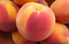 Tι θα πάρουν τελικά οι ροδακινοπαραγωγοί; 