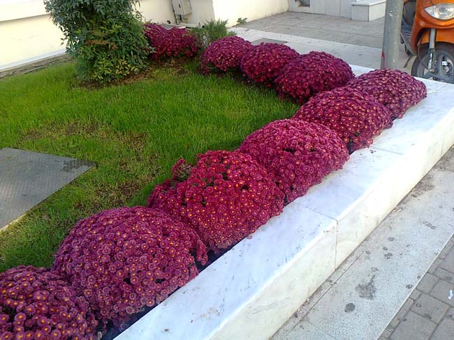 «Κοκκίνισε» το Δημαρχείο της Βέροιας