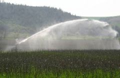 «ΠΕΡΙΒΑΛΛΟΝΤΙΚΟ» ΧΑΡΑΤΣΙ ΣΤΟ ΝΕΡΟ