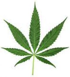 Ποιητικός Πυρήνας - Μια γιορτή για την Ποίηση και την Άνοιξη. Βέροια, Κυριακή 20 Μαρτίου