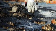 Ανάπτυξη βουτηγμένη στο ... μαζούτ