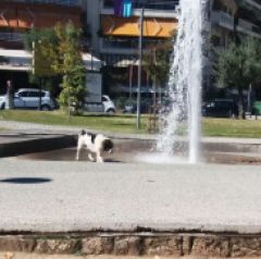 Όχι στη συνεχιζόμενη κακοδιαχείριση δημόσιου χρήματος. Δημοκρατία, αλληλεγγύη, κάθαρση.