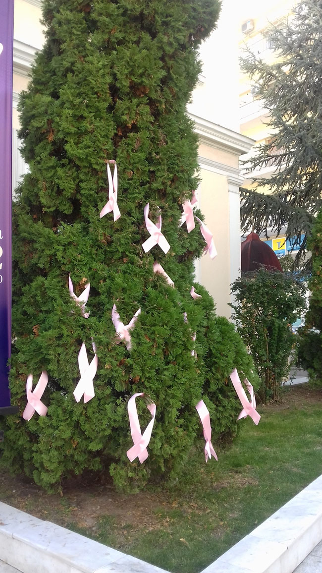 Με ροζ φιόγκους ντύθηκαν …. τα καταστήματα και το Δημαρχείο Βέροιας