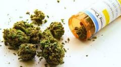 ΕΘΝΙΚΟ ΣΥΜΒΟΥΛΙΟ ΚΑΤΑ ΤΩΝ ΝΑΡΚΩΤΙΚΩΝ «Αγωνιζόμαστε για μια κοινωνία ελεύθερη από ναρκωτικά και όχι με ελεύθερα τα ναρκωτικά»