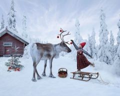 Τα Χριστούγεννα στη Δημόσια Βιβλιοθήκη της Βέροιας!