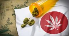 "Mε όχημα τη «φαρμακευτική» τάχα χρήση της κάνναβης, επιχειρείται η πλήρης αποποινικοποίηση της χρήσης και της διακίνησης των ναρκωτικών"