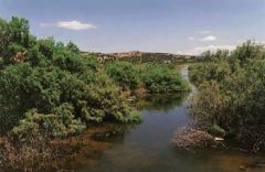 ΝΟΜΟΣΧΕΔΙΟ ΓΙΑ ΠΕΡΙΟΧΕΣ «NATURA»