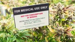 Εωλα και επικίνδυνα κυβερνητικά επιχειρήματα για την «ιατρική» κάνναβη