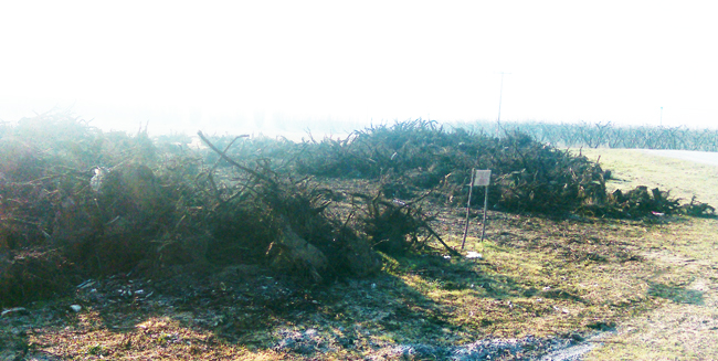  Το ξερίζωμα δεν είναι λύση…