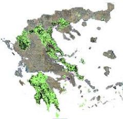 ΤΕΕ: Εκδήλωση για τους δασικούς χάρτες στην Βέροια 