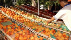 Σύσκεψη ροδακινοπαραγωγών στην Βέροια στις 21 Μάρτη