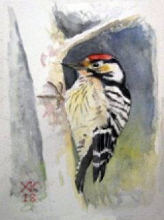 ΠΕΡΙΔΙΑΒΑΙΝΟΝΤΑΣ ΤΗΝ «Πολιτεία των πουλιών» : Ελάχιστη αναφορά στην έκθεση ζωγραφικής…και όχι μόνο  των Χ. Κουρουζίδη, Α.Χολέβα