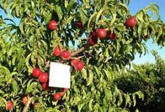 Π.Ε Ημαθίας: Από 31 Μαΐου έως 13 Ιουνίου οι ενστάσεις για το ΚΟΝΦΟΥΖΙΟ