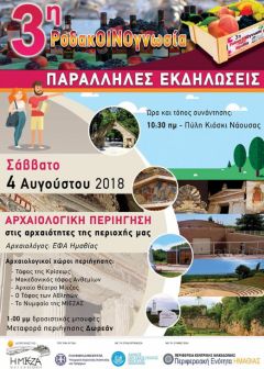 3η ΡΟΔΑΚΟΙΝΟΓΝΩΣΙΑ