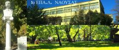 Καταγγελία Ενωσης Γονέων για τη μη λειτουργία τμήματος πληροφορικής στο ΕΠΑΛ Νάουσας