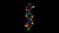 Επιστήμονες έφτιαξαν για πρώτη φορά DNA χρησιμοποιώντας και συνθετικά «γράμματα»