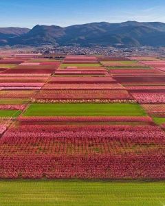 Ομορφιά και πραγματικότητα....