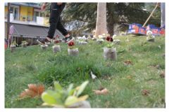 Δράση περιβαλλοντικής ευαισθητοποίησης