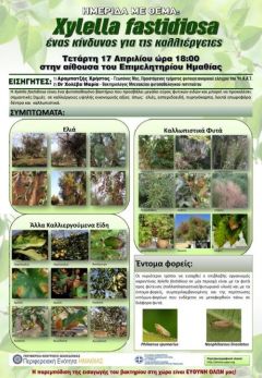 Ημερίδα για το βακτήριο xylella fastidiosa στη Βέροια