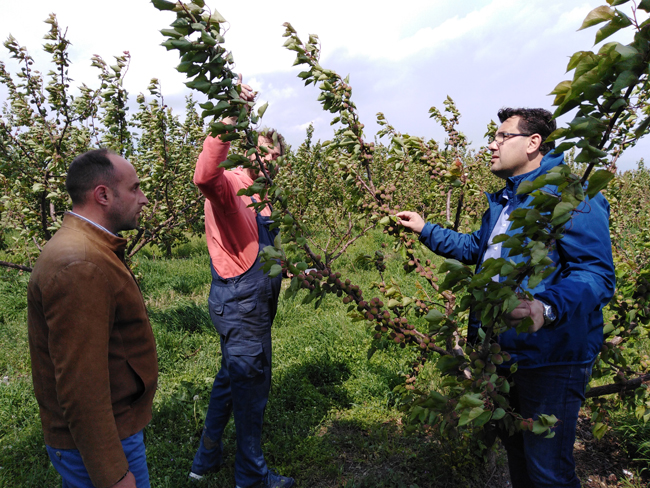 Κ. Ναλμπάντης: Να ξεκινήσει άμεσα  η αντιχαλαζική προστασία από αέρος