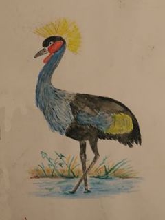  ΕΚΘΕΣΗ ΖΩΓΡΑΦΙΚΗΣ του συνταξιούχου Δασκάλου Κουρουζίδη Νεοκλή 