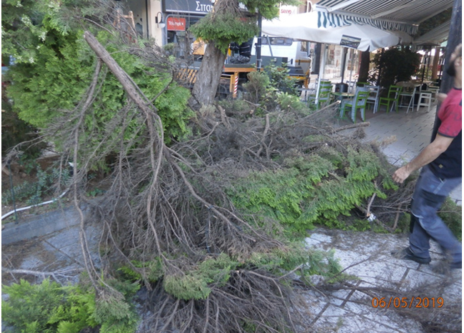 Τα παρτέρια στην οδό Ιπποκράτους
