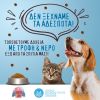 Αφίσα του Δήμου Νάουσας σχετικά με την μέριμνα για την φροντίδα αδέσποτων ζώων