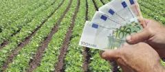 Αίτημα Κ. Καλαϊτζίδη για άμεση  εξόφληση αγροτικών αποζημιώσεων