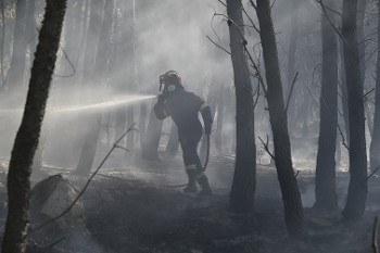 Οι μεγάλοι ένοχοι για το διαρκές έγκλημα των πυρκαγιών