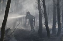 Οι μεγάλοι ένοχοι για το διαρκές έγκλημα των πυρκαγιών