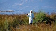 Ευρωκοινοβουλευτική Ομάδα του ΚΚΕ: Ερώτηση για τις ευθύνες κυβέρνησης και ΕΕ για την εξάπλωση του ιού του Δυτικού Νείλου