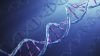 DNA: Επιστήμονες τροποποίησαν ελαττωματικά γονίδια σε ανθρώπινα έμβρυα