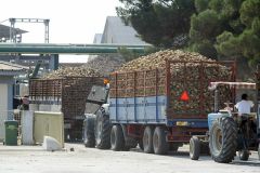 Συμβολική κατάληψη στα γραφεία της Ελληνικής Βιομηχανίας Ζάχαρης