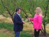  Παρέμβαση Κ. Καλαϊτζίδη στον ΕΛΓΑ για άμεση αποζημίωση της καταστροφής από το χαλάζι. Ζήτησε εξηγήσεις για έλλειψη αντιχαλαζικής προστασίας.